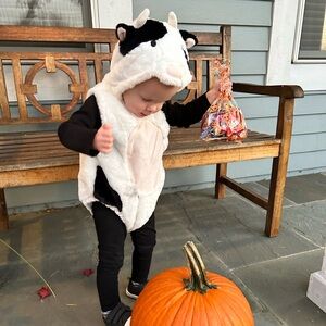 The cutest cow costume